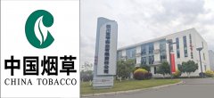 绵阳标书编写再传捷报！助力祥瑞鑫中