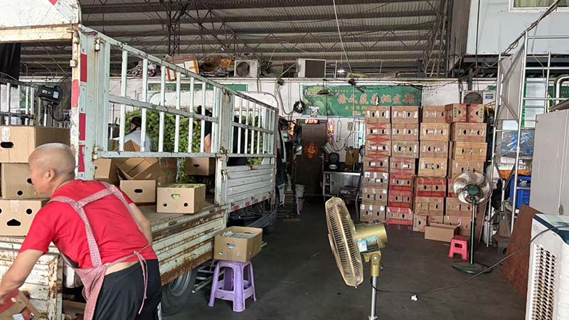 绵阳龙门高水蔬菜批发基地经营实景-蔬菜卸货