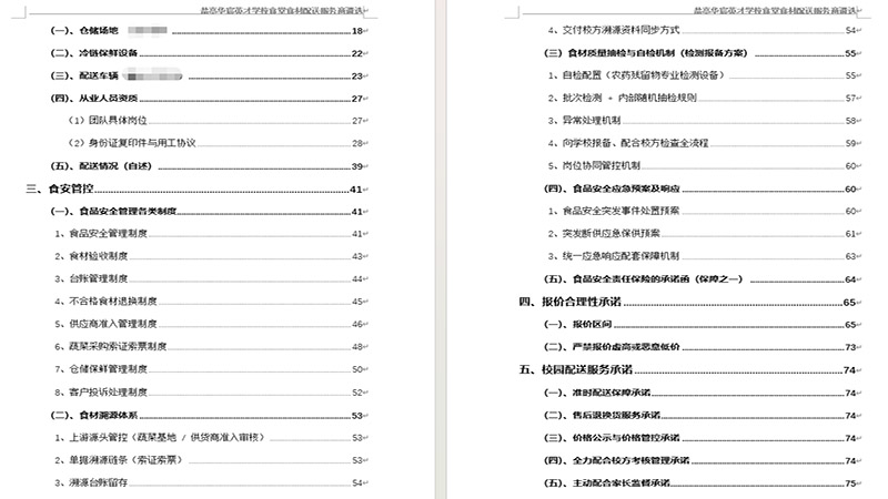 盐亭华宸英才学校蔬菜配送项目投标文件目录及标准化排版截图